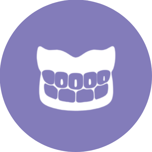 Inicio prótesis dental morado